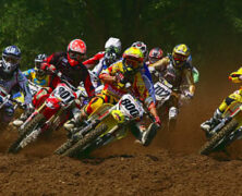 HIGH POINT | REED LEADS FIELD