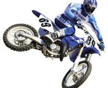 RACE RESULTS | MX1 QUALIFYING