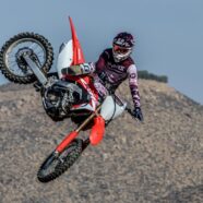 UPDATE | TOMMY SEARLE
